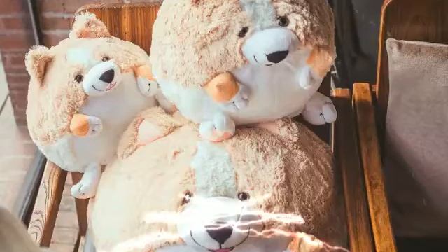 Прикольні картинки) смотреть онлайн