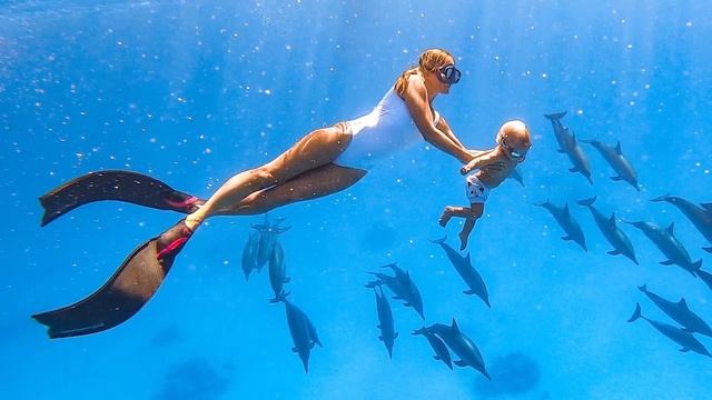 Запретные знания