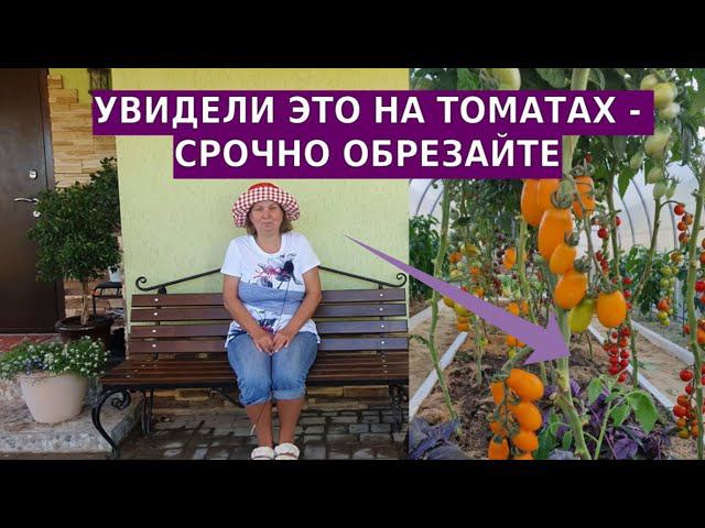 Даже такое жирование может привести к уменьшению урожая смотреть онлайн