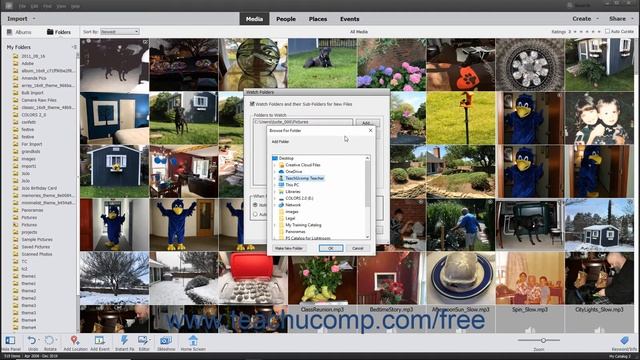 Photoshop Elements 2020 Tutorial Setting Watch Folders (Windows Only) Adobe Training смотреть онлайн