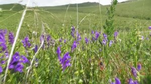 Сагаалган-2024. Цаган-Челутай.1964 г.р.