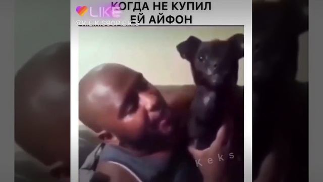 Я хочу не Самсунг а айфон!!!!! Гав гав смотреть онлайн