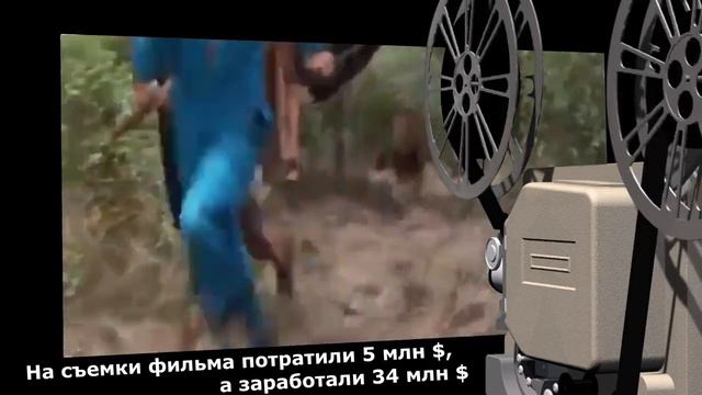 Как сложилась судьба бушмена из фильма «Наверное боги сошли с ума» смотреть онлайн