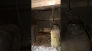 Вебасто предпусковой на ГАЗель НЕКСТ