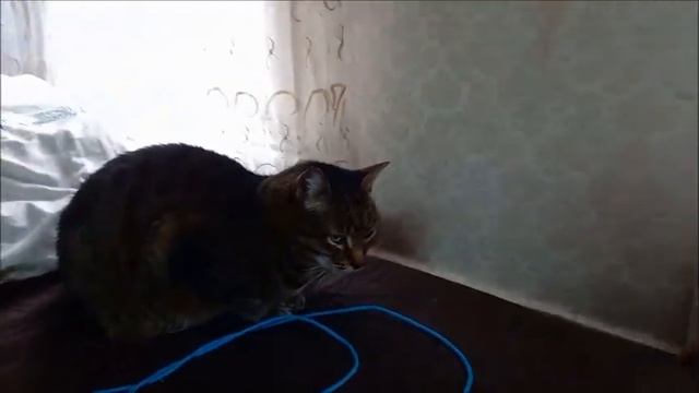Верхотурье туда и обратно \уборка снега во дворе\ смотреть онлайн