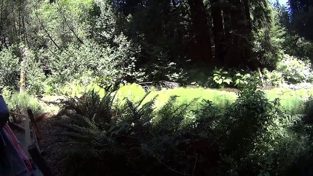 Сан-Франциско, мы тебя любим! // Путешествие по западному побережью США // День 7 смотреть онлайн