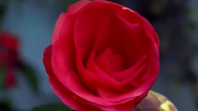 Поздравление девочек с 8 марта 2018 смотреть онлайн