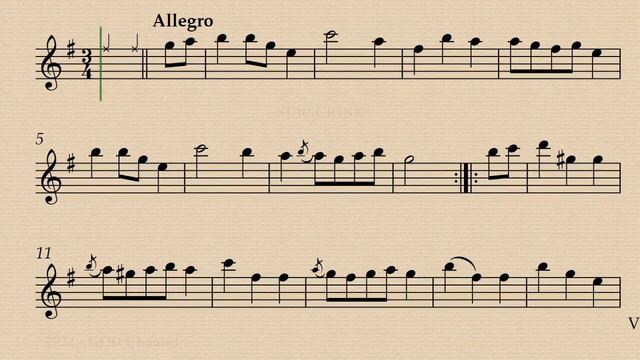 13 & 14 - M. Giuliani - 16 Pieces Faciles Agreables pour la Flute et Guitarre Op.74 - Backing track смотреть онлайн