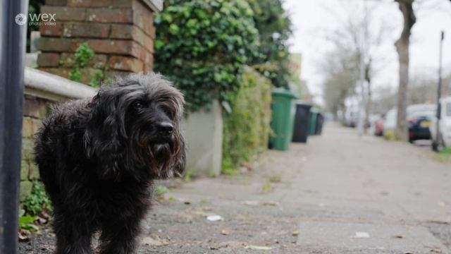 In Conversation | with Magnum Photo's Mark Power смотреть онлайн