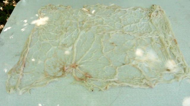 Мясной фарш в жировой сетке на мангале, роллы на углях смотреть онлайн