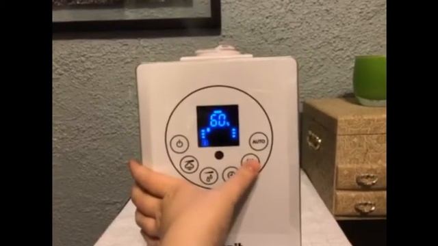 Levoit LV600HH 6L Humidifiers Vaporizer Demo Video (By Edwards) смотреть онлайн