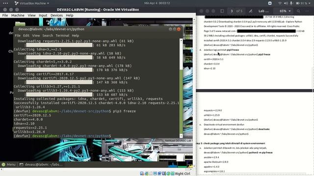 Lab 3.1.12 - Explore Python Development Tools смотреть онлайн