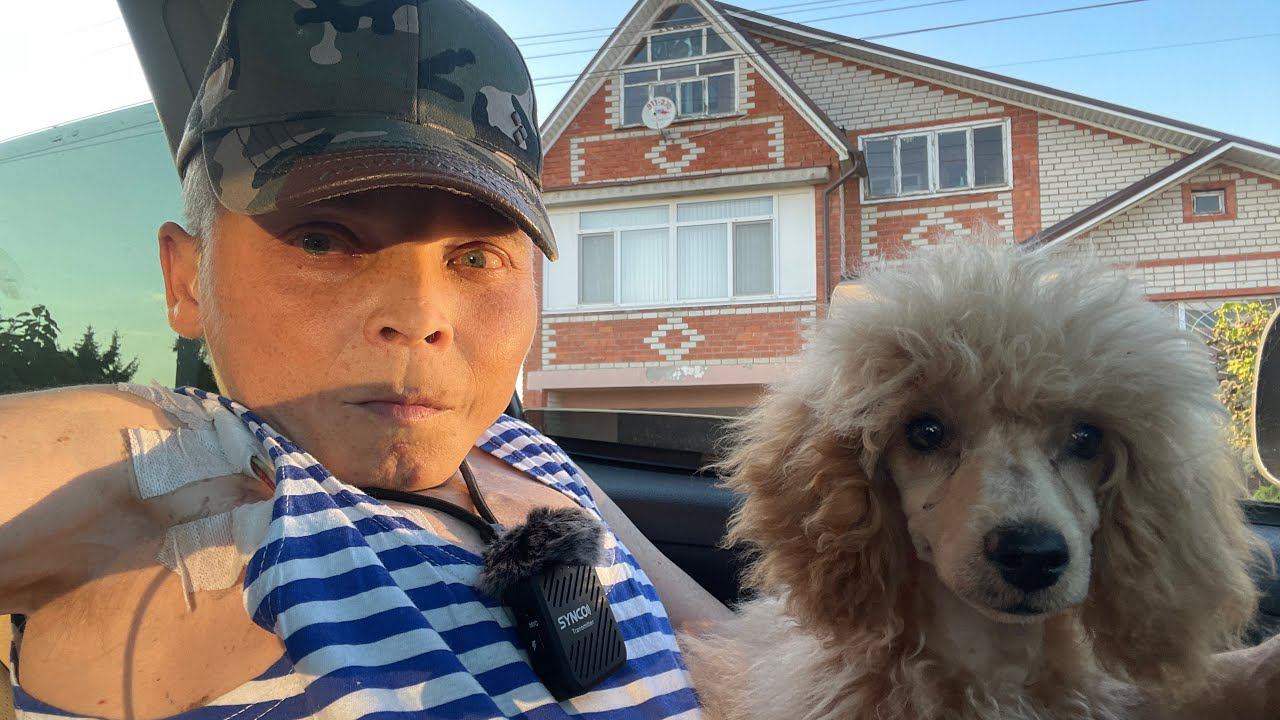 Не Попал На Диализ не мой день смотреть онлайн