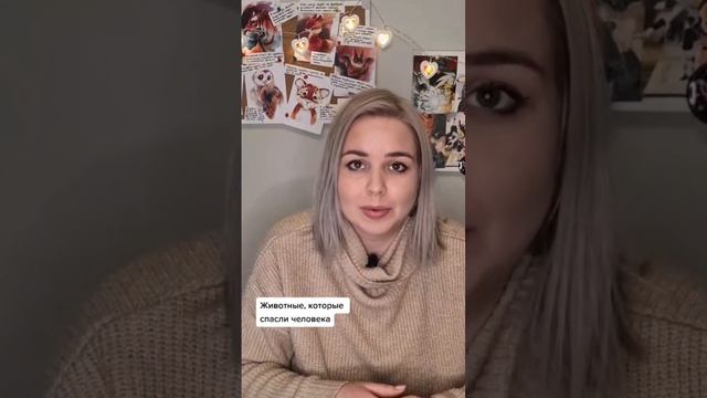 Животные, которые спасли человека Попугай #вмиреживотных #животные #интересно #планета #природа смотреть онлайн