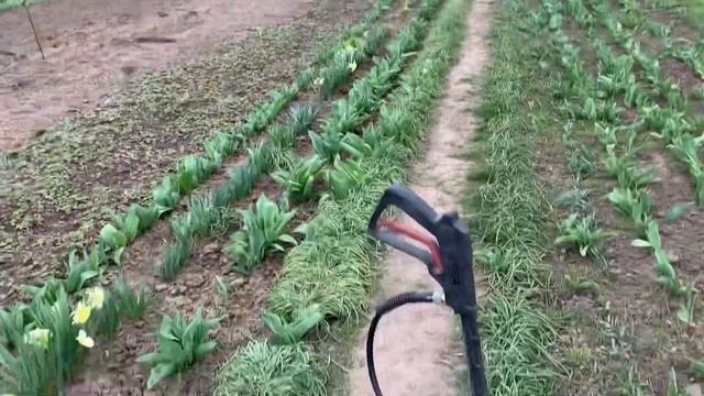 ВЕСЕННЕЕ ОПРЫСКИВАНИЕ САДА // КАК БЫСТРО ОПРЫСКИВАТЬ ВЫСОКИЕ ДЕРЕВЬЯ смотреть онлайн