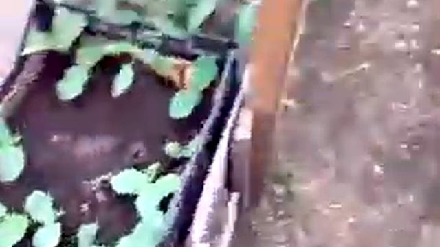 СУПЕР ЗАВАЛИНКА! смотреть онлайн