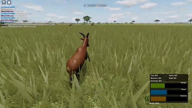 Wild SAVANNAH TOPI BGI HERD REAL BIG ROBLOX смотреть онлайн
