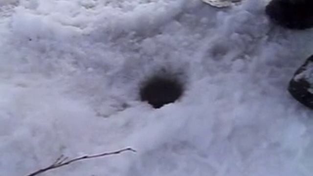 Щука на поставушки (жерлицы) зимой. Поклевка. Ловля щуку на зимние жерлицы смотреть онлайн