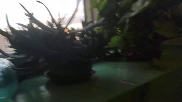 Лифт КМЗ 2005 Q=400кг V=1м/с смотреть онлайн