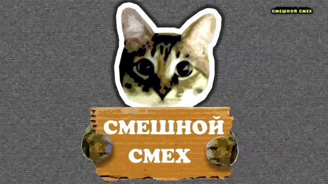 ПРИКОЛЫ МАЙ 2020 ЛУЧШИЕ ДО СЛЕЗ | ПРИКОЛЫ С КОТАМИ | СМЕШНЫЕ ВИДЕО С ЖИВОТНЫМИ #6 смотреть онлайн