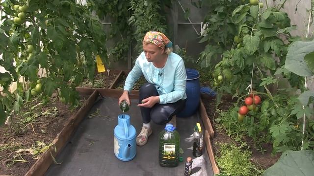 Микробиологическое удобрение Хлорелла смотреть онлайн