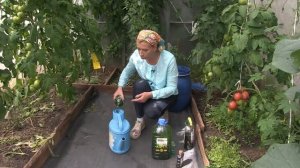 Микробиологическое удобрение Хлорелла