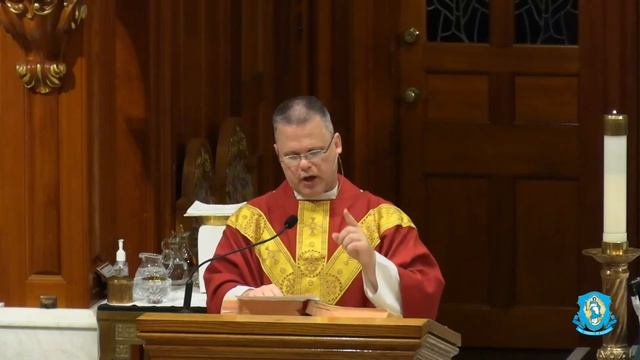 Fri, Jul 9 - Holy Mass from the National Shrine смотреть онлайн