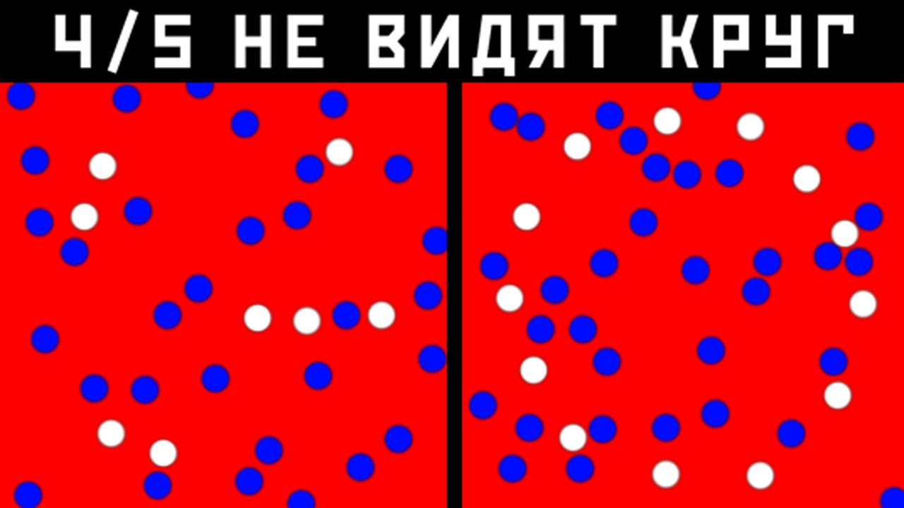 9 Фото, Которые Проверят Твой Интеллект смотреть онлайн