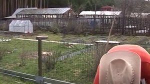 Удобрение для картофеля