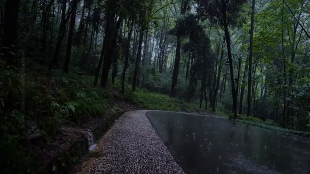 Relaxing Piano Music & Rain Sounds