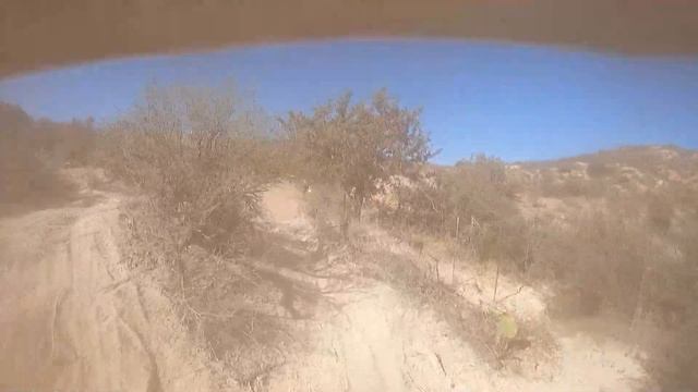 Oracle AMRA Open B Taylor Myers смотреть онлайн