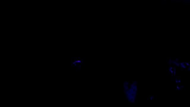 Богема - Неангелы - Роман смотреть онлайн