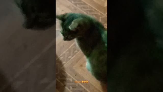 #мечта# смотреть онлайн