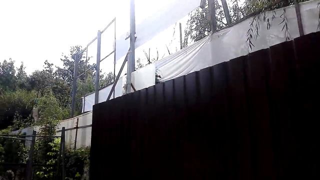 Странные соседи