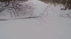 Ловля вьюна на болоте зимой.