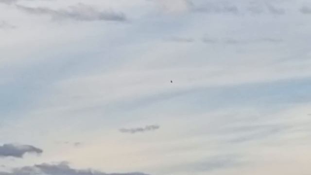 F-35 Practice Demo!!!!! смотреть онлайн