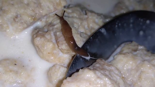 Инструкции по Творчеству