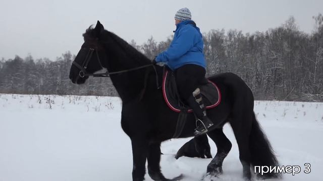 ДТ-30. Что такое статус? смотреть онлайн