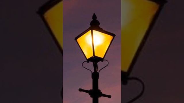 Эдит(Н.о, Бордер колли, Доберман,Собаки)звук мой смотреть онлайн