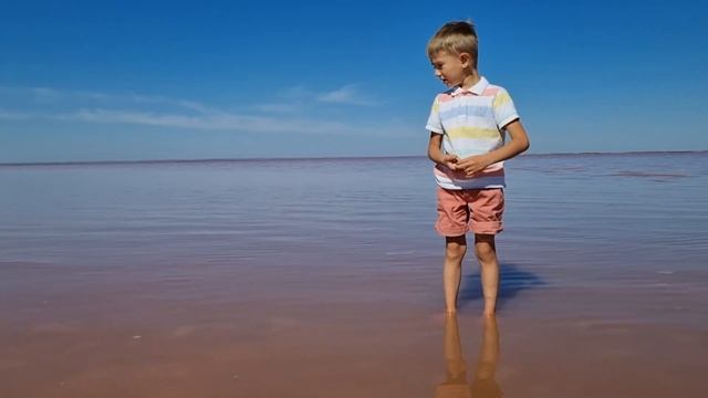 Розовое соленое озеро в Крыму - Сасык-Сиваш смотреть онлайн