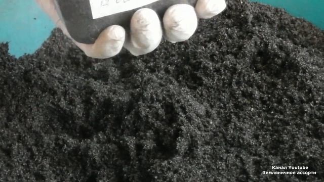 СПОСОБ ПОСЕВА ЗЕМЛЯНИКИ НАДЕЖНЫЙ И ПРОВЕРЕННЫЙ