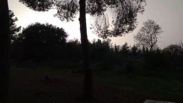 Парк Канада, Израиль. Природа. Вой шакалов. Небольшой обзор