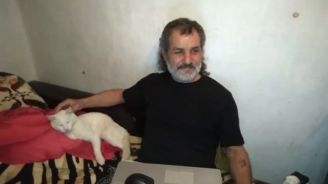 Баку. Кот альбинос. Март 2019 март смотреть онлайн