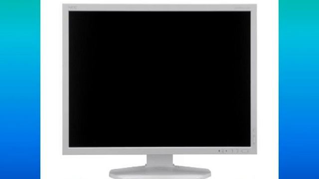 NEC MultiSync P241W - Monitor LCD 24 смотреть онлайн