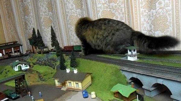 Ёш. Охотник за поездами.