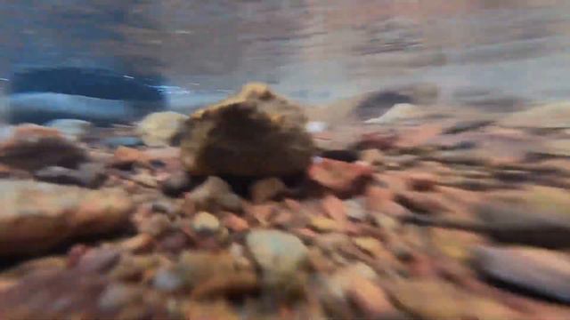 Think twice before going to Dudhsagar waterfall, Goa смотреть онлайн