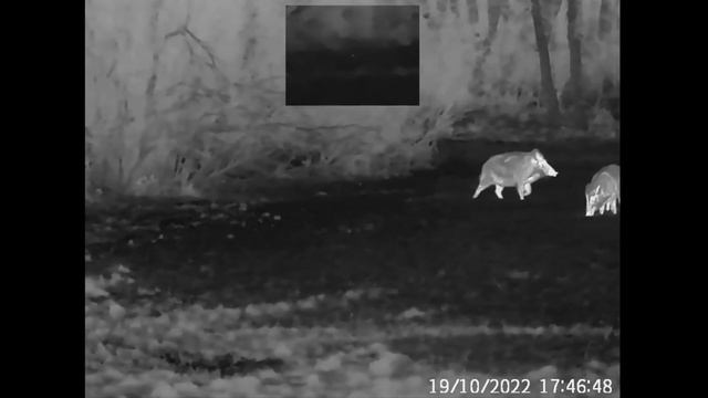 Introducing TU650, a good hunting assistant смотреть онлайн