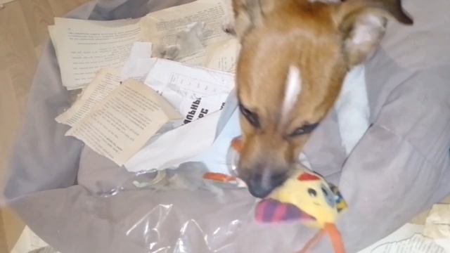 ПОЛНЫЙ ПОГРОМ !!!!!!! смотреть онлайн