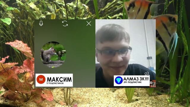 3# ВИДЕОЧАТ С МАКСИМОМ ХИТРОСТИ РАЗВЕДЕНИЯ И СОДЕРЖАНИЯ РЫБОК ГУППИ смотреть онлайн