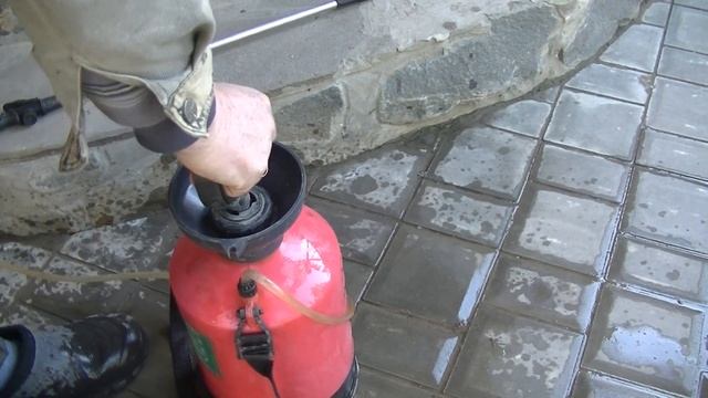 ЖЕЛТАЯ КАЙМА ЛИСТ ПОЖЕЛТЕЛ У РАСТЕНИЙ ОГУРЦОВ ЧТО ДЕЛАТЬ ? # САД ОГОРОД ДАЧА # смотреть онлайн